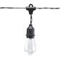 Alpine 10pc Vintage Edison Bulb String Lights w/ Timer & LEDs - image 2