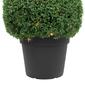 Northlight Seasonal 20in. Pre-Lit Artificial Boxwood Ball Topiary - image 3