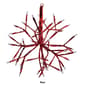 Alpine 10in. Small LED Twig Snowflake Christmas Ornament - image 6