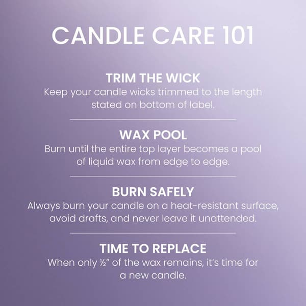 Yankee Candle® 20oz Signature 2-Wick Lilac Blossom™Tumbler Candle
