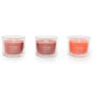 Yankee Candle® Fall Farm Favorites Mini Gift Set - image 2