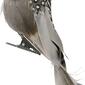 Northlight Seasonal Clip On Bird Christmas Ornament - image 2