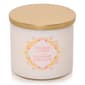 Yankee Candle(R) 14.5oz. Iced Berry Lemonade 3-Wick Tumbler Candle - image 1