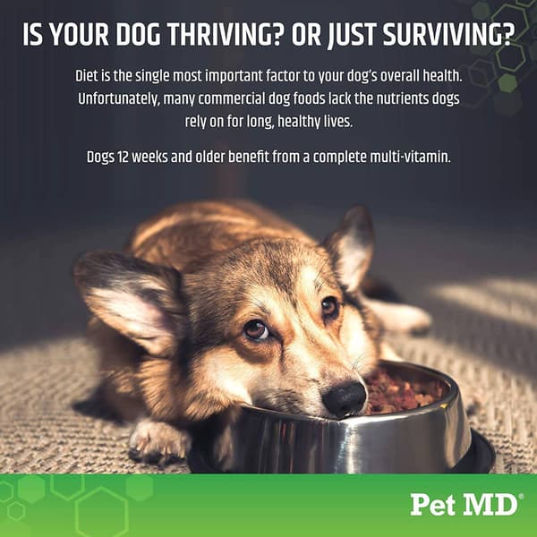 Pet MD 5-in-1 MultiVitamin Soft Chews for Dogs - 120 Count