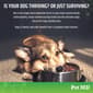 Pet MD 5-in-1 MultiVitamin Soft Chews for Dogs - 120 Count - image 5
