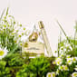 Marc Jacobs Daisy Eau de Toilette for Women 2pc. Gift Set - image 5