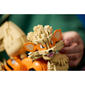 LEGO® Pokémon™ Arcanine Building Kit - image 11