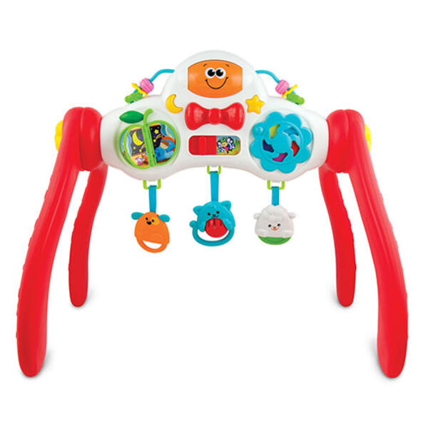 Winfun Grow with Me Melody Gym - image 