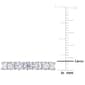 Gemstone Classics™ 1kt. Dew Moissanite Anniversary Band - image 4