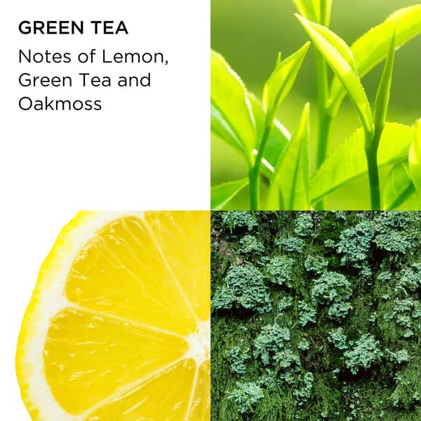 Elizabeth Arden Green Tea Eau de Toilette Gift Set