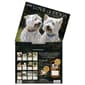 Lang® 2026 Love of Dogs Wall Calendar - image 4