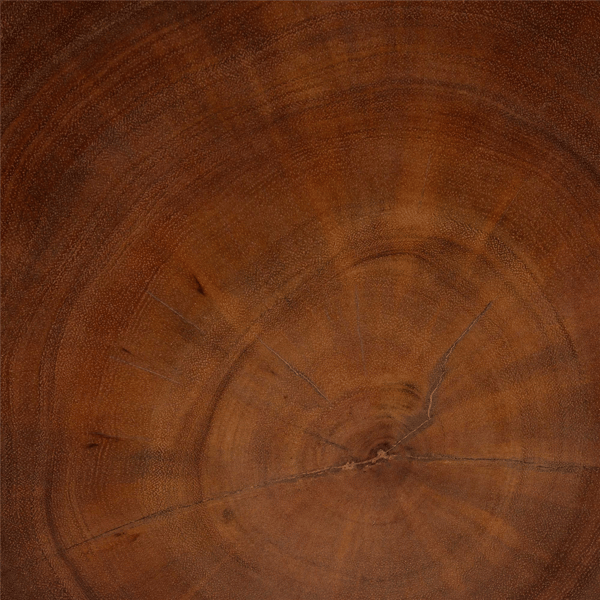bali & pari Rapha Suar Wood Accent Table