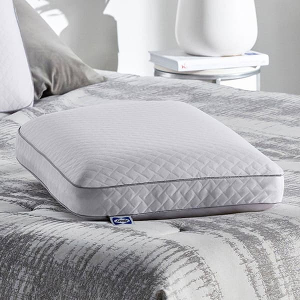 Sealy Memory Foam Pillow