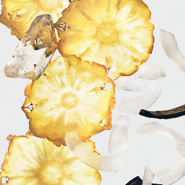 Calvin Klein Silky Coconut Hair and Body Mist