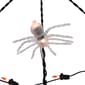 Northlight Seasonal 5ft. Spider In Web - image 3