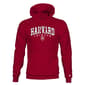 Mens Tsi School Pride Harvard(R) Hoodie - image 1