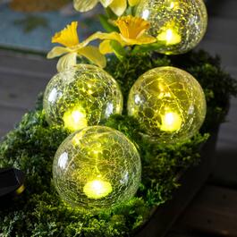 Evergreen Staked Lanterns w/Solar RGB Globes - Set of 4