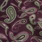 Superior 2pc. Cotton Flannel Paisley Pillowcase Set - image 8