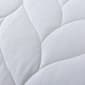Waverly Antimicrobial Down Alternative Blanket - image 6