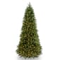 National Tree 9ft. Pre-Lit Jersey Fraser Fir Slim Tree - image 1