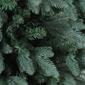 Northlight 4.5ft. Unlit Washington Frasier Fir Christmas Tree - image 2