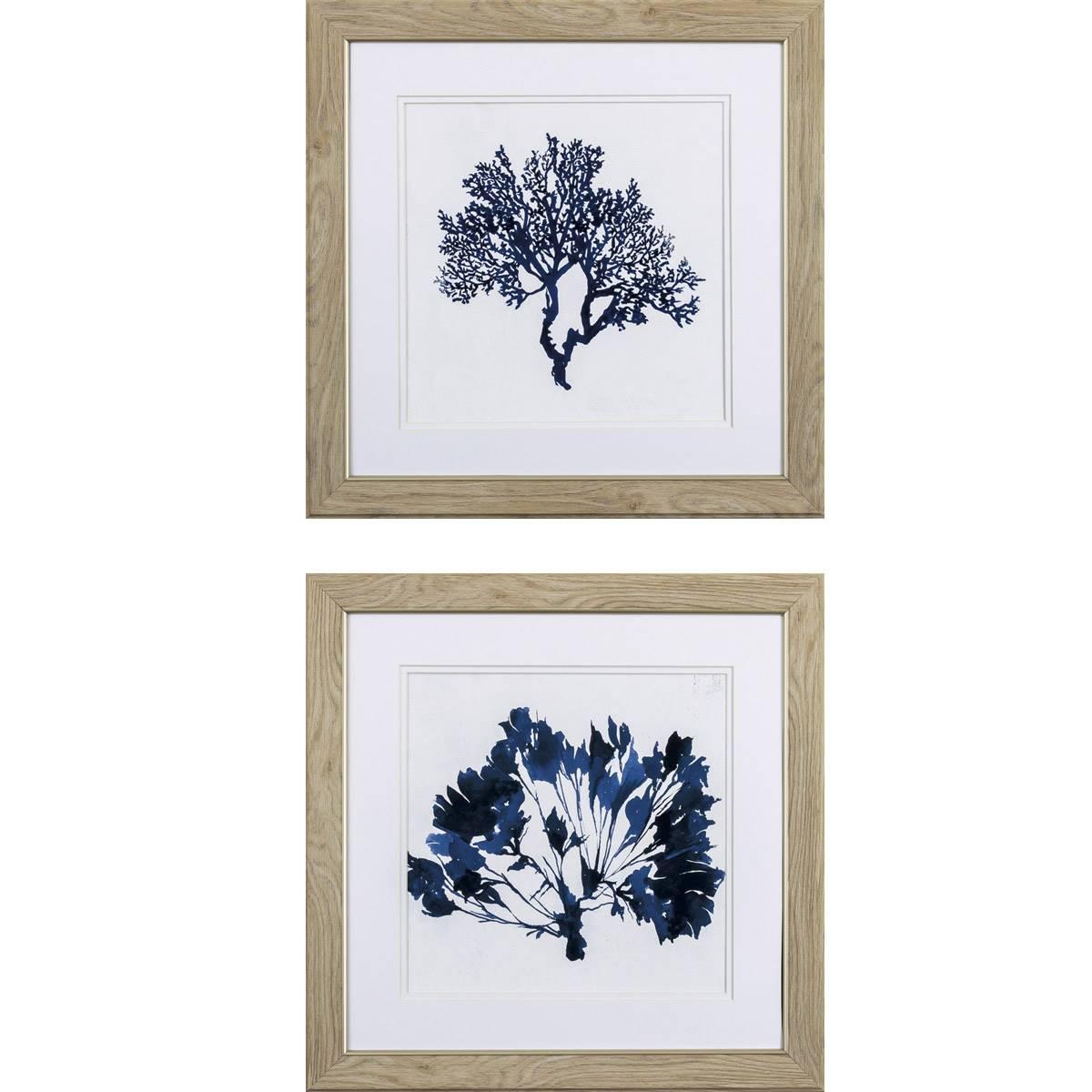 Paragon 2pc. Indigo Coral B Wall Art