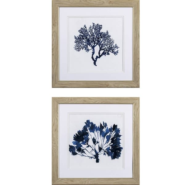 Propac Images&#40;R&#41; 2pc. Indigo Coral B Wall Art