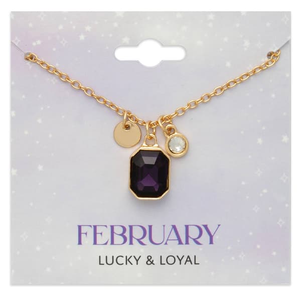 February Birthstone Crystal Charm Necklace