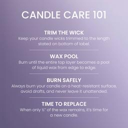 Yankee Candle® 4.5oz. Dried Lavender Oak Tumbler Candle