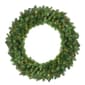 Northlight Seasonal Lit Canadian Pine Artificial Christmas Wreath - image 1