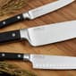 BergHOFF Gene 3pc. Stainless Steel Knife Set - image 3