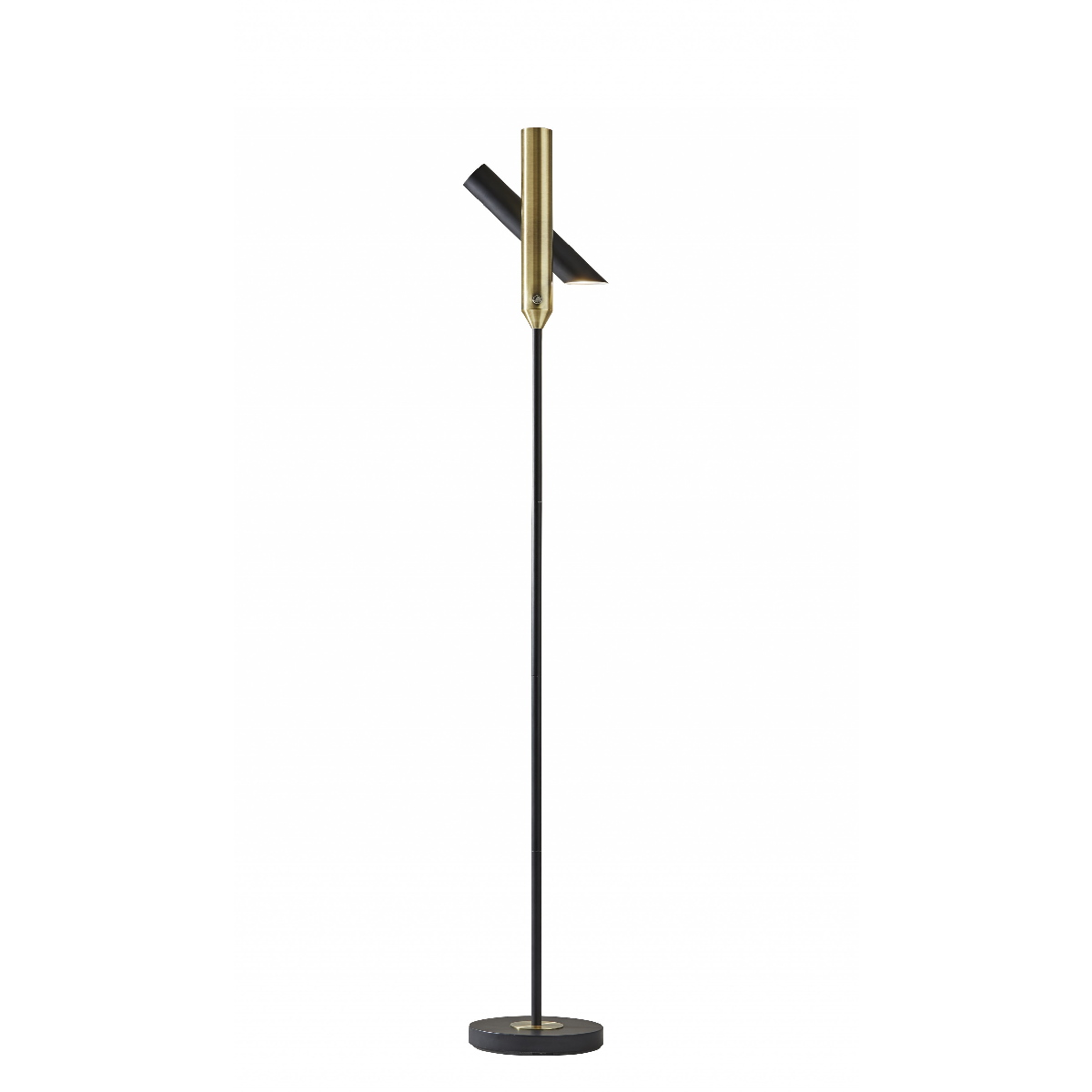 HomeRoots 68in. Black Metal LED Floor Lamp