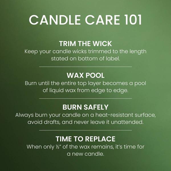 Yankee Candle® 14.25oz. Balsam Medium Pillar Candle