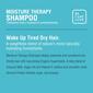 Superfoods Coconut Milk Moisture Therapy Shampoo - image 2