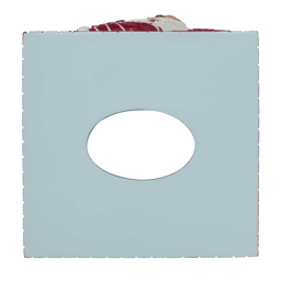 Avanti Holiday Cheer Tissue Cover