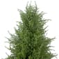 Northlight Seasonal 5ft. Artificial Cedar Pine Tree - image 3