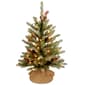National Tree 2ft. Pre-lit Dunhill(R) Fir Tree - image 1