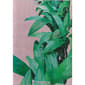 Elizabeth Sutton Maisie Palm Tree Rectangular Area Rug - image 9