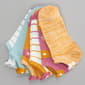 Womens MUK LUKS® 6pk. 3D Daisy Tab Low Cut Socks - image 2