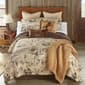Donna Sharp Your Lifestyle Cowboy Quilt Set - image 3