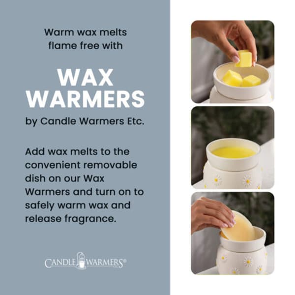 Candle Warmers Etc. Orb Electric Wax Warmer
