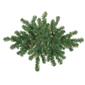Northlight 28in. Pre-Lit Windsor Pine Artificial Christmas Swag - image 1