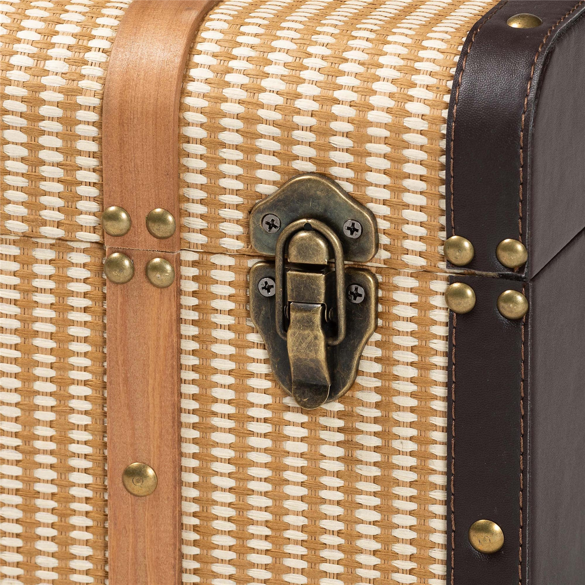 Baxton Studio Manton Woven Exterior Storage Trunk