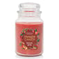 Yankee Candle(R) Harvest Gems 22oz. Signature Tumbler Candle - image 1