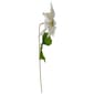 Northlight 24in. White & Gold Artificial Christmas Poinsettia - image 4