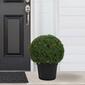Northlight Seasonal 20in. Pre-Lit Artificial Boxwood Ball Topiary - image 2