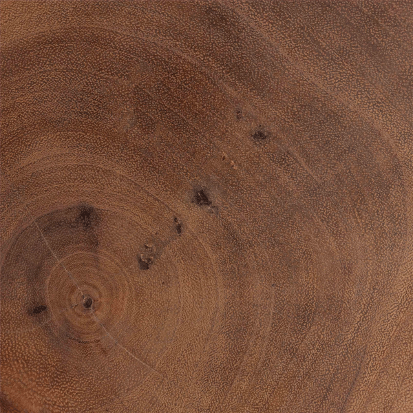 bali & pari Bancroft Solid Suar Wood End Table