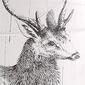 Simple Designs Deer Buck Nature Ceramic Farmhouse Table Lamp - image 5