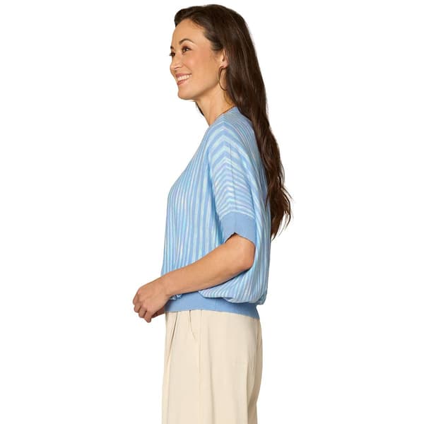 Womens Democracy Dolman Sleeve Space Dye Stripe Sweater