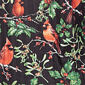 Petite Alfred Dunner Classics Cardinals On Branches Tee - image 6